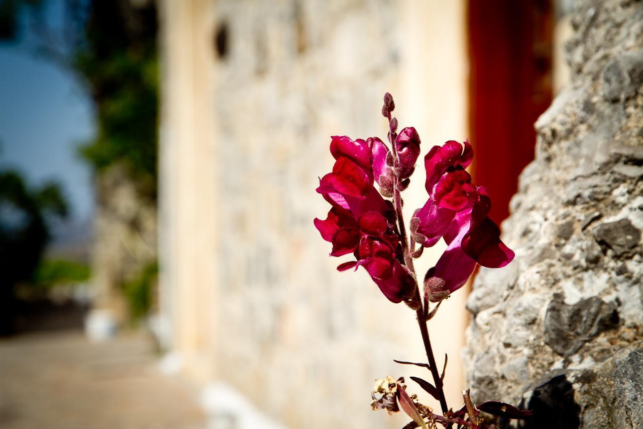 Monastiraki Traditional Guest House Monastirakion  Buitenkant foto